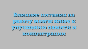 Влияние питания на работу мозга: ключ к улучшению памяти и концентрации
