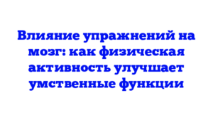 Влияние упражнений на мозг: как физическая активность улучшает умственные функции